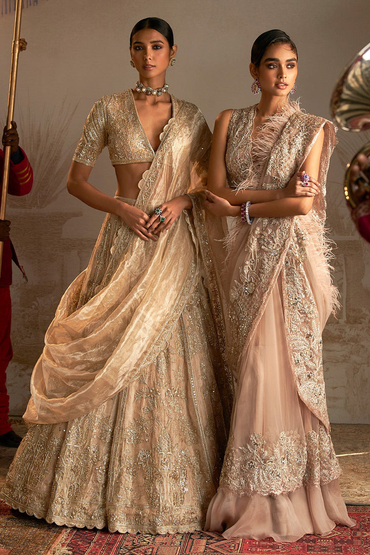 Pakeeza Saree Set-RTS