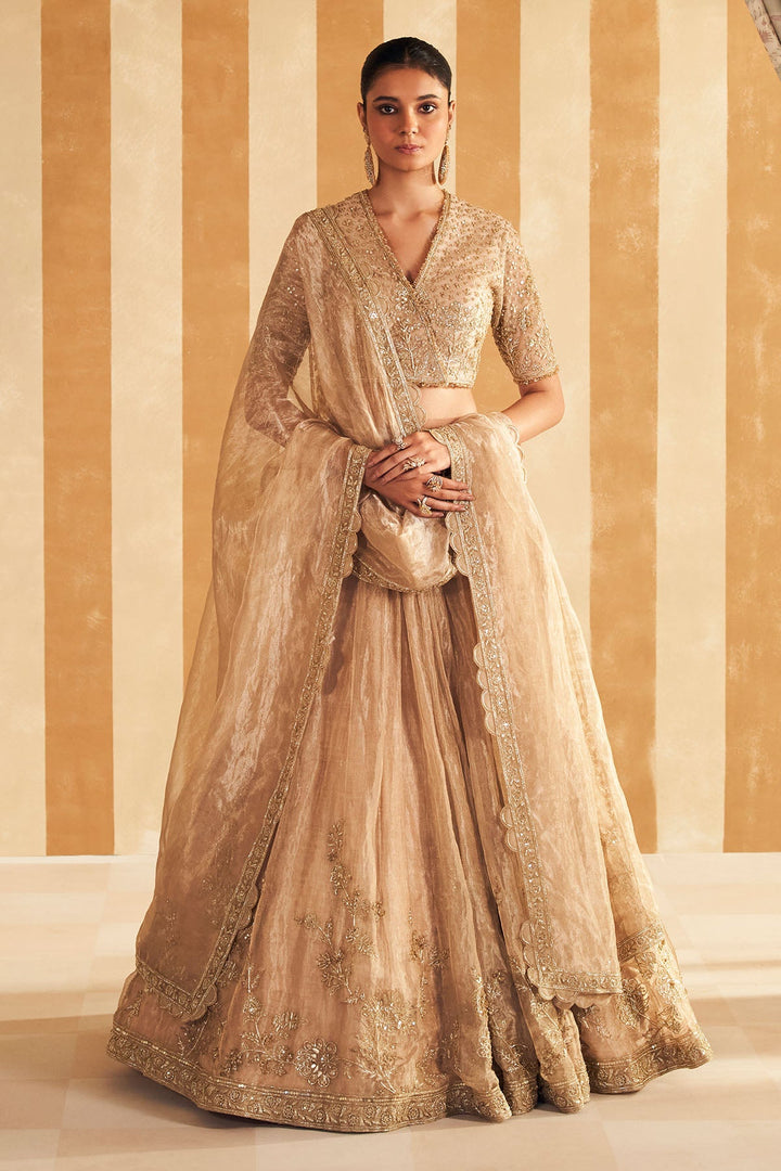 Zarina Lehenga Set-RTS