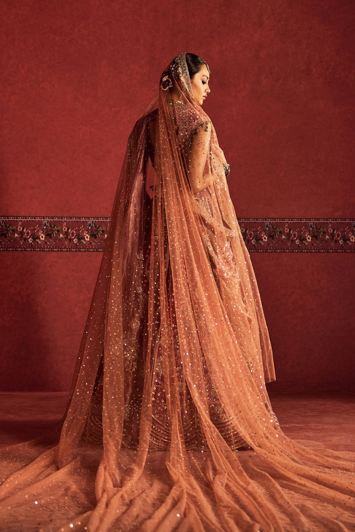 Roohaniyat Lehenga Set