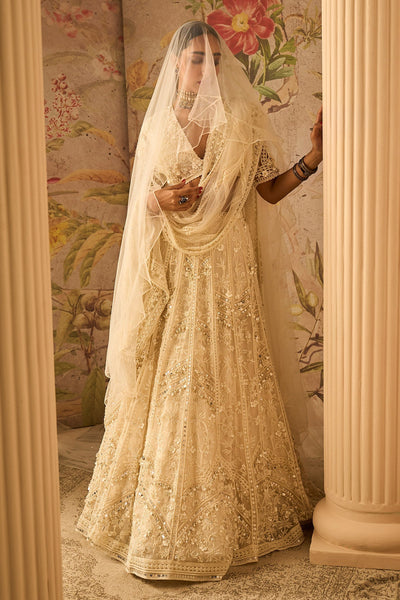 RM-Ivory Organza Heavy Embroidered Lehenga