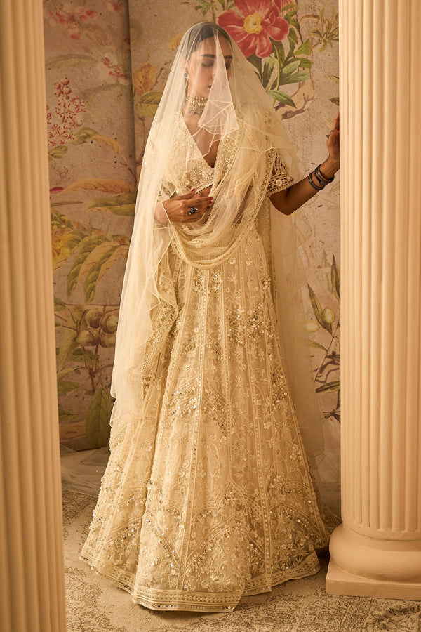 DREAM LEHENGA SET