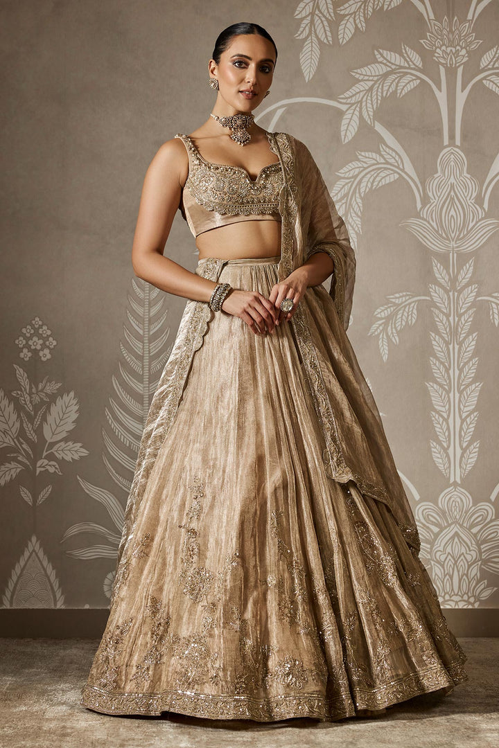 Arnika Lehenga Set-RTS
