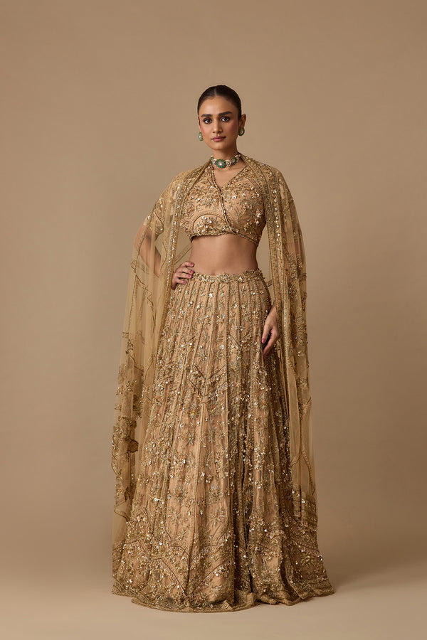 ENCHANTED LEHENGA SET