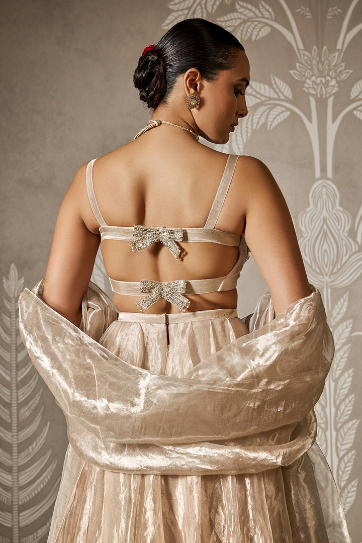 Zarish Lehenga Set-RTS