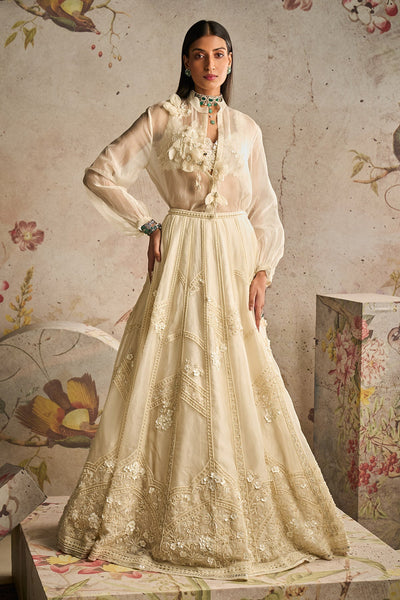 Ridhi-Mehra-Ivory Net Embroidered-Lehenga
