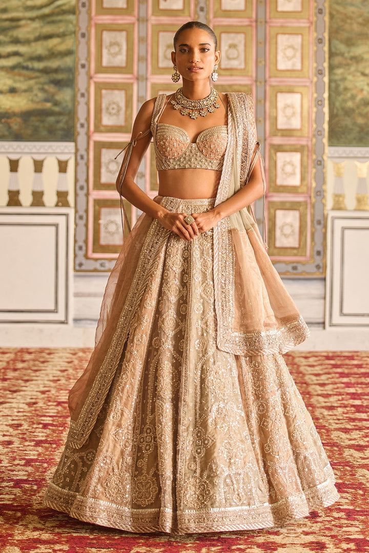 Essence Lehenga Set-RTS
