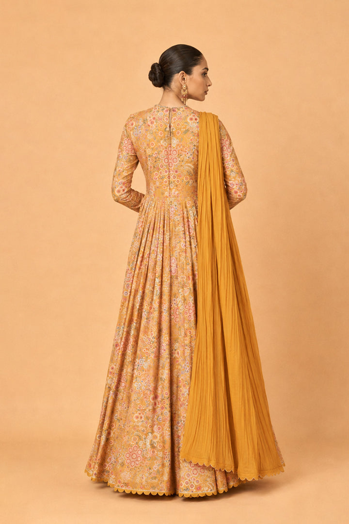 Amara Anarkali Set